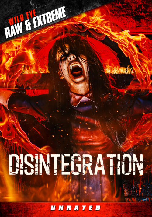 Disintegration