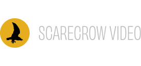 Scarecrow Video